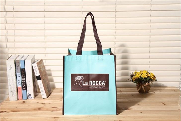 Laminiated Non Woven Shopping Bag